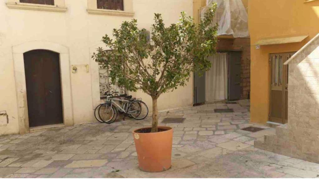Corte32 Bari Buitenkant foto